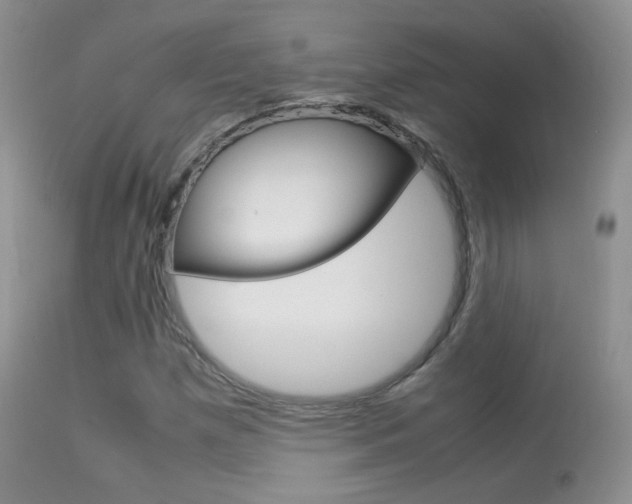 X0000113291257200909140956