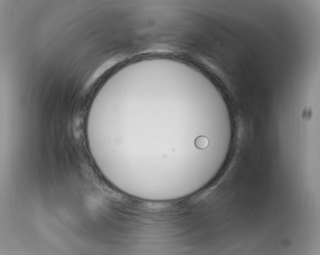 X0000113291258200909140956