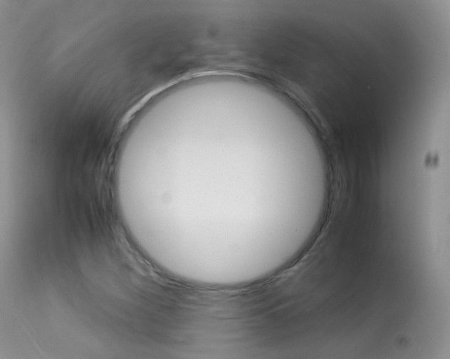 X0000113291260200909140956