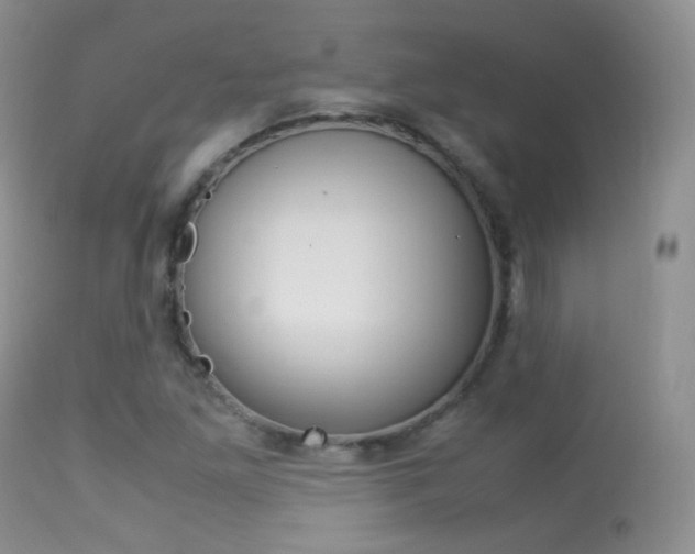 X0000113291261200909140956