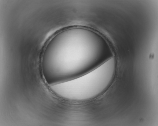 X0000113291264200909140956