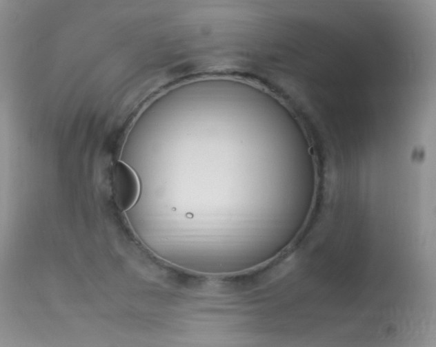 X0000113291265200909140956