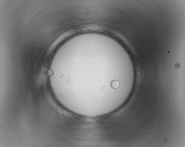 X0000113291266200909140956