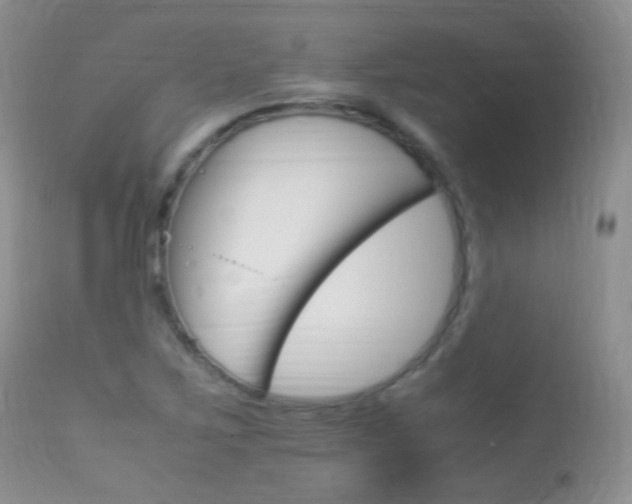 X0000113291267200909140956