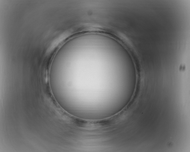 X0000113291269200909140956