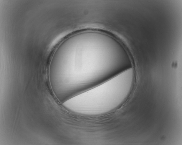 X0000113291271200909140956