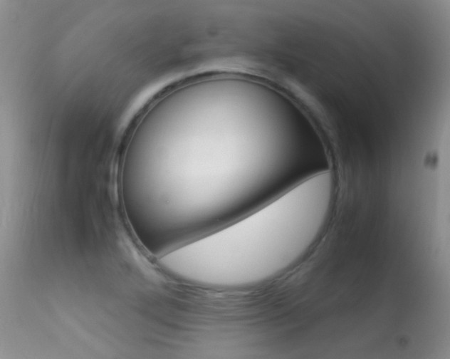 X0000113291272200909140956