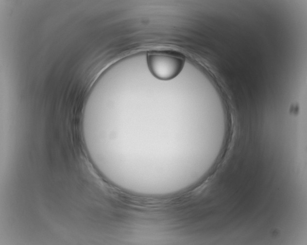 X0000113291273200909140956