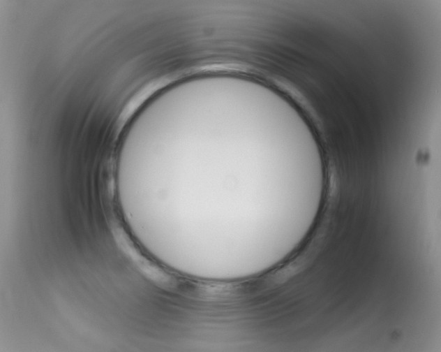 X0000113291274200909140956