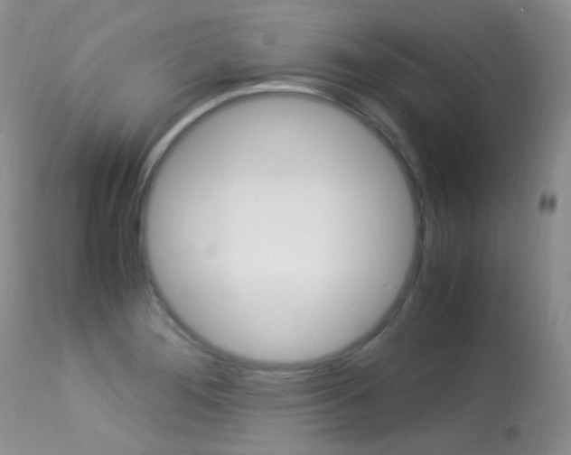 X0000113291276200909140956