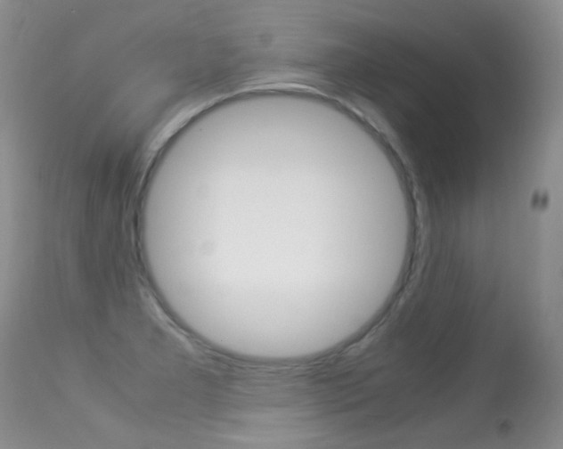 X0000113291277200909140956
