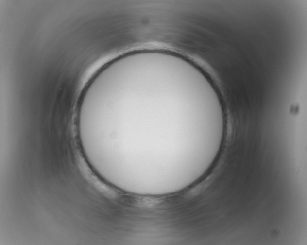 X0000113291278200909140956