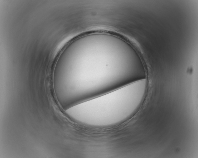X0000113291279200909140956