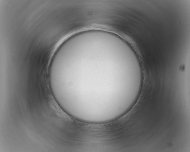 X0000113291280200909140956