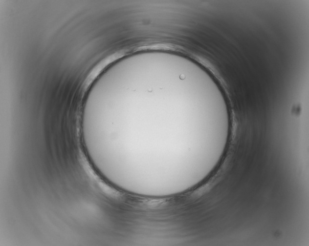 X0000113291282200909140956