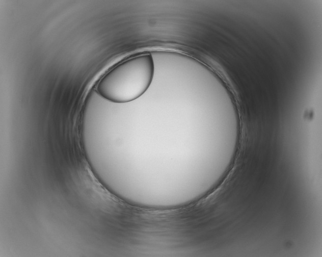 X0000113291284200909140956