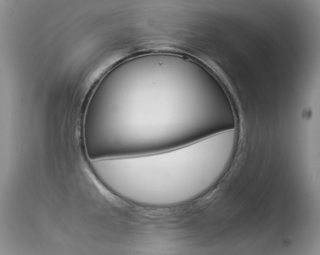 X0000113291285200909140956