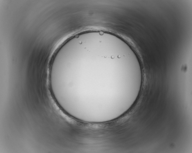 X0000113291286200909140956