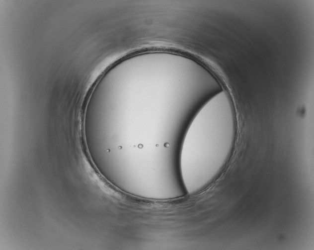 X0000113291287200909140956