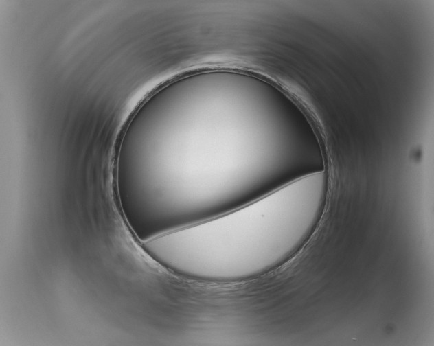 X0000113291288200909140956