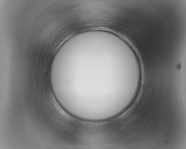 X0000113291289200909140956