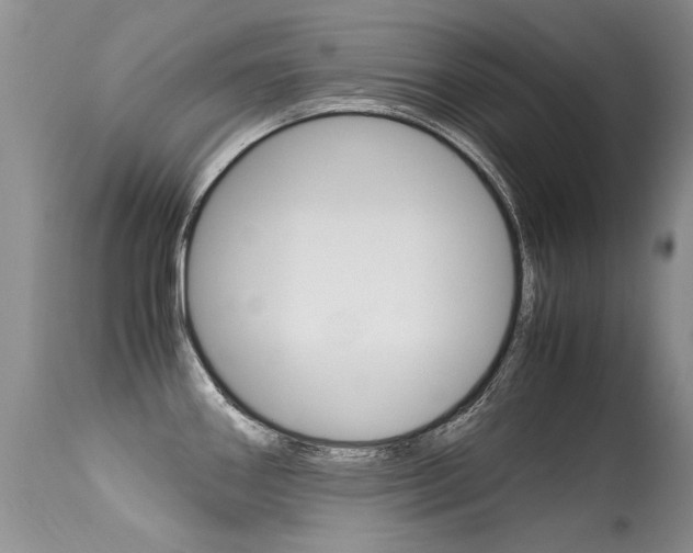 X0000113291290200909140956