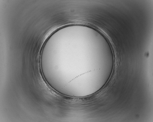 X0000113291291200909140956
