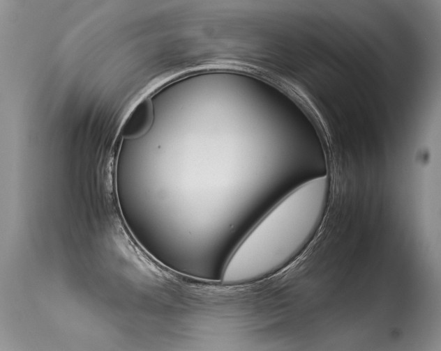 X0000113291292200909140956