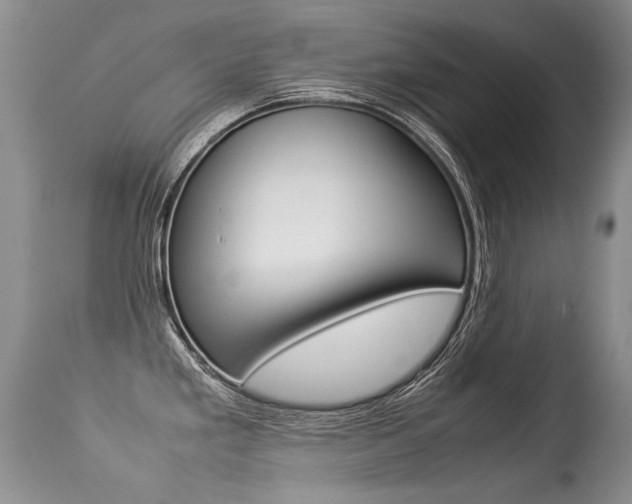 X0000113291293200909140956