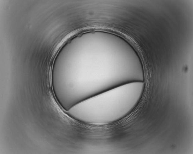 X0000113291295200909140956