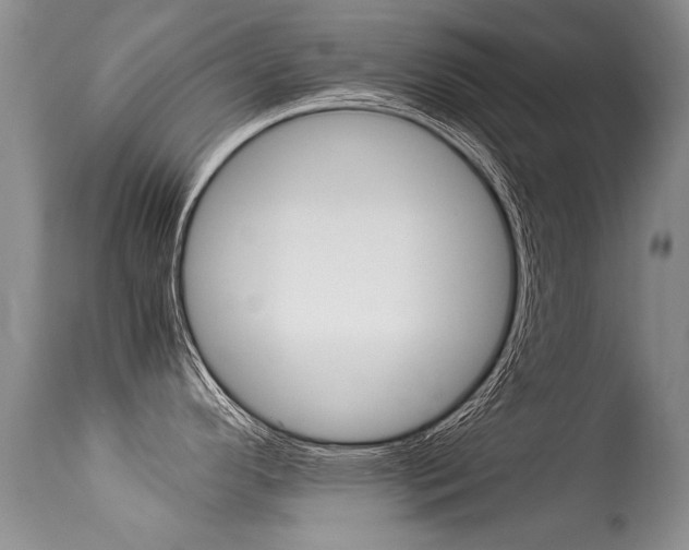 X0000113291296200909140955