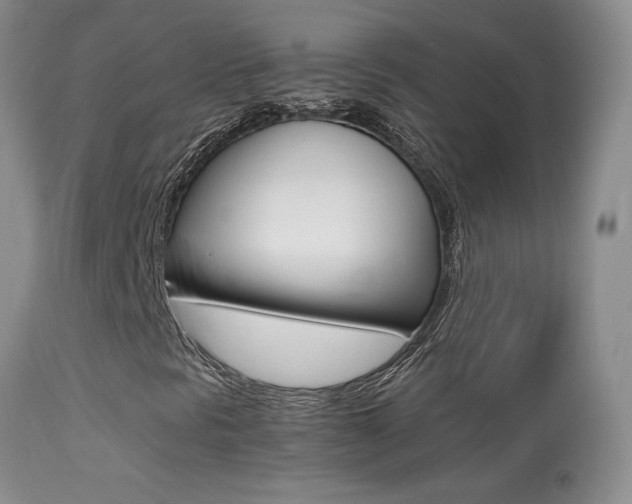X0000113291297200909140955