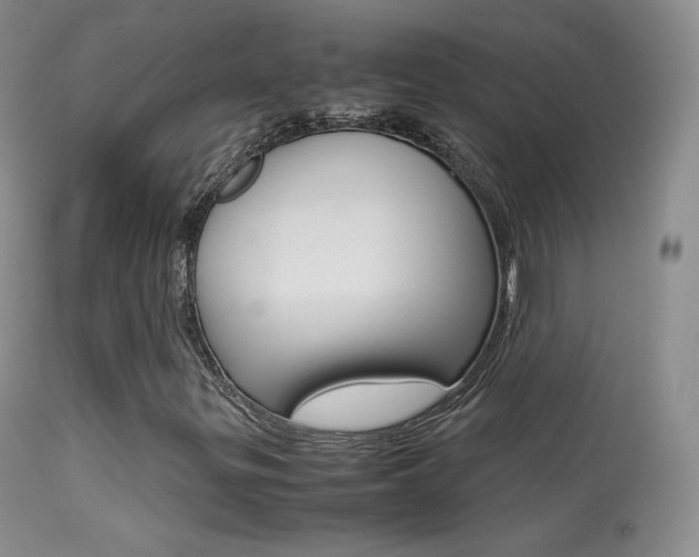 X0000113291299200909140955