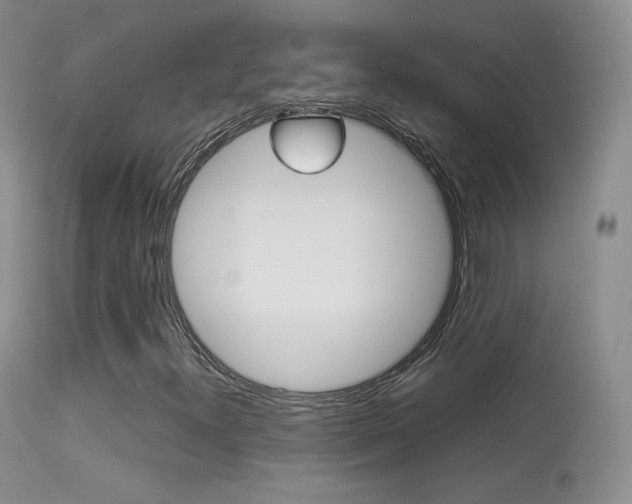 X0000113291300200909140955