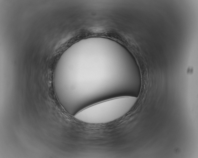 X0000113291301200909140955
