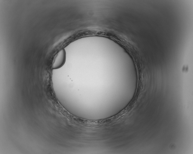 X0000113291302200909140955
