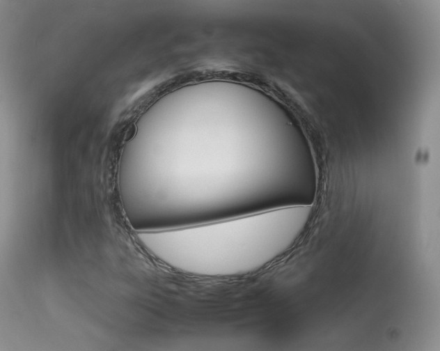 X0000113291303200909140955