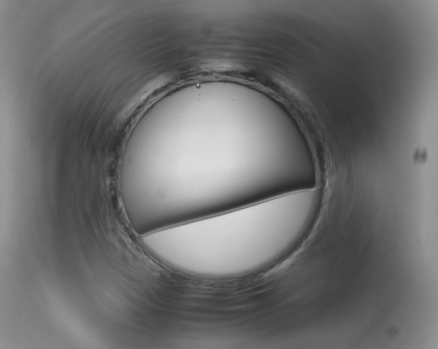 X0000113291305200909140955