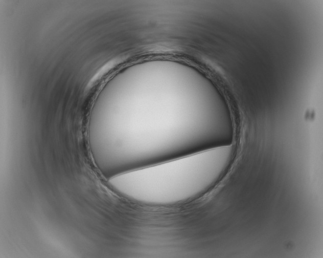 X0000113291306200909140955