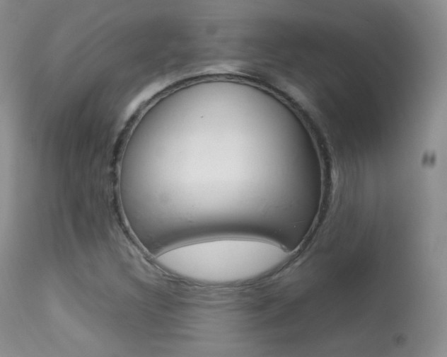 X0000113291308200909140955