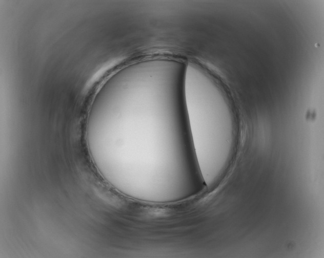 X0000113291309200909140955
