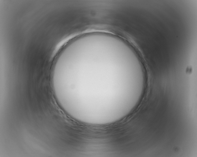 X0000113291312200909140955