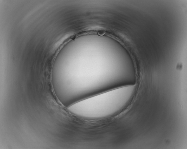 X0000113291313200909140955
