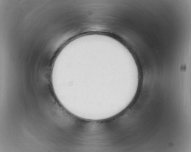 X0000113291314200909140955