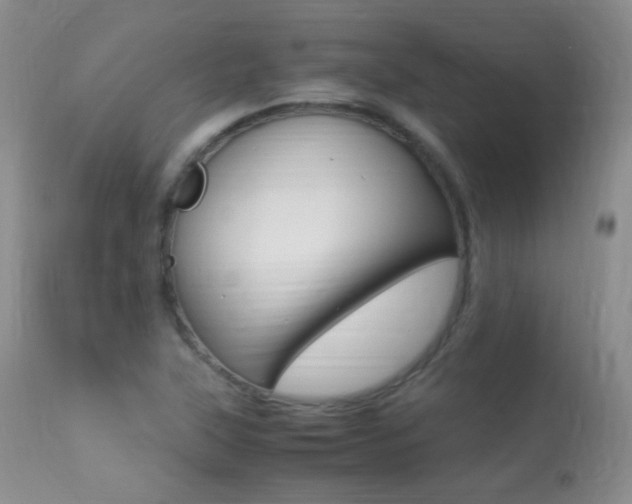 X0000113291315200909140955