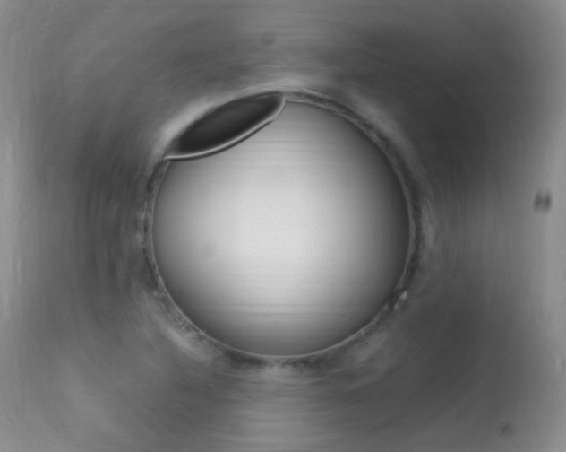 X0000113291316200909140955