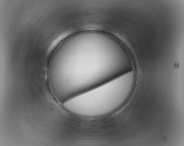 X0000113291317200909140955