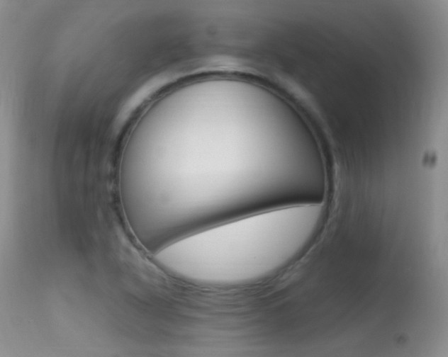 X0000113291318200909140955