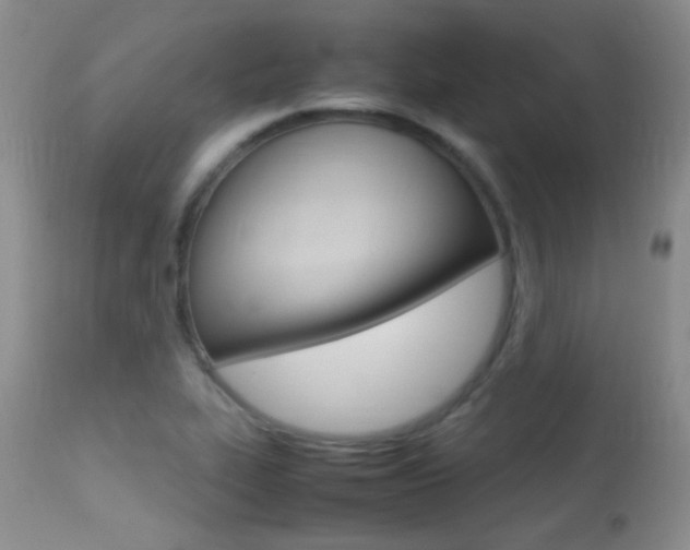 X0000113291319200909140955