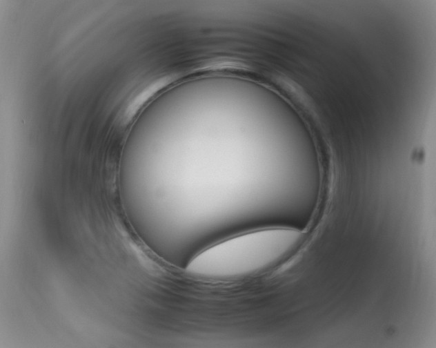 X0000113291321200909140955